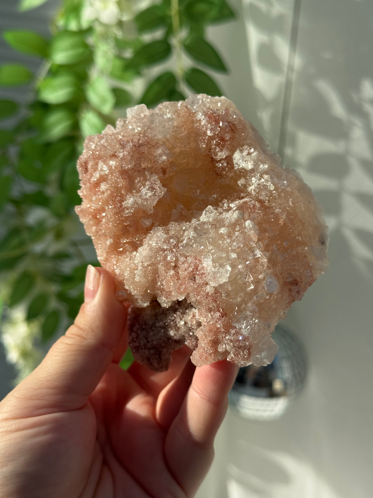 Peachy Pink Apophyllite Specimens from India