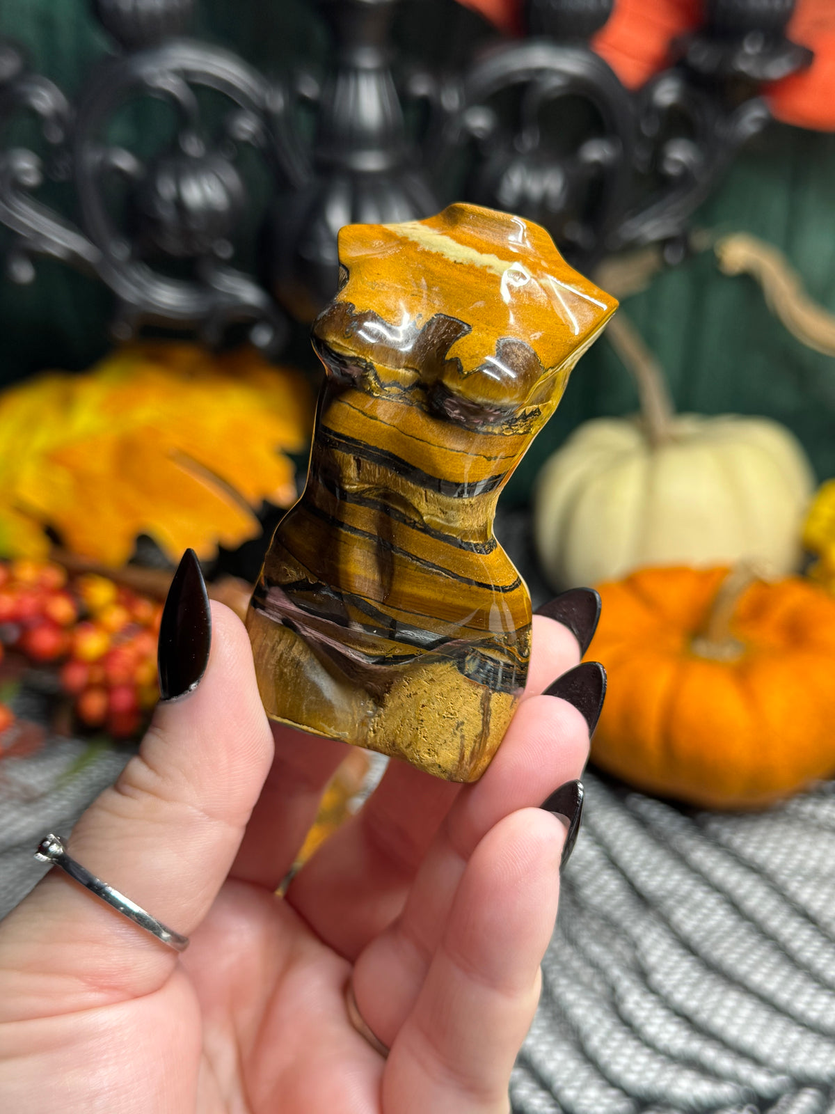 Iron Tigers Eye Ladybody