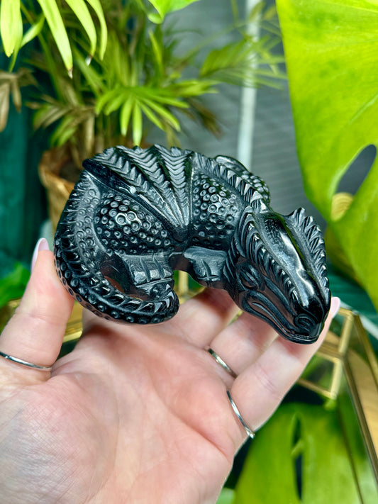 Black Obsidian Dragon