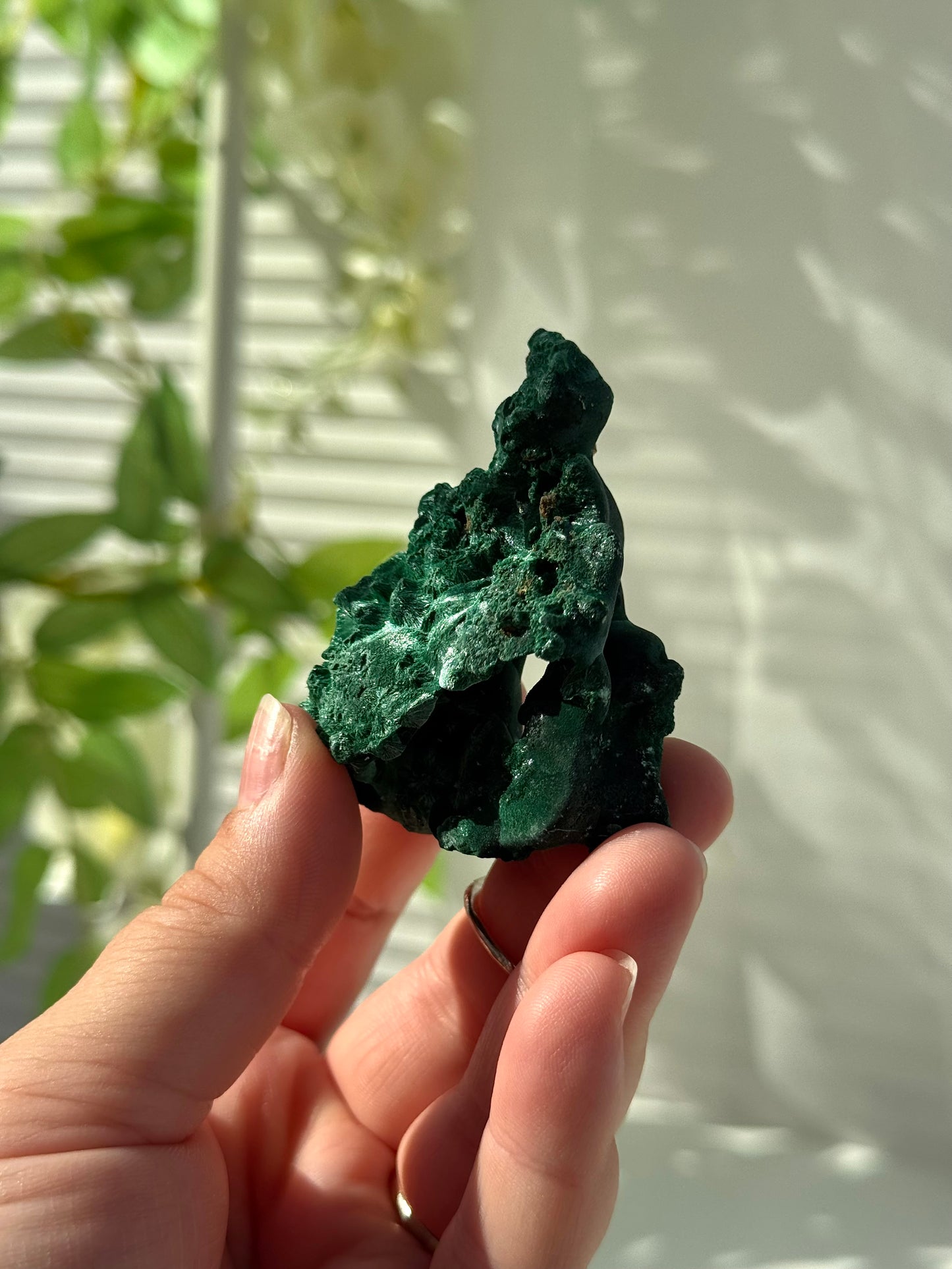 Velvet Malachite