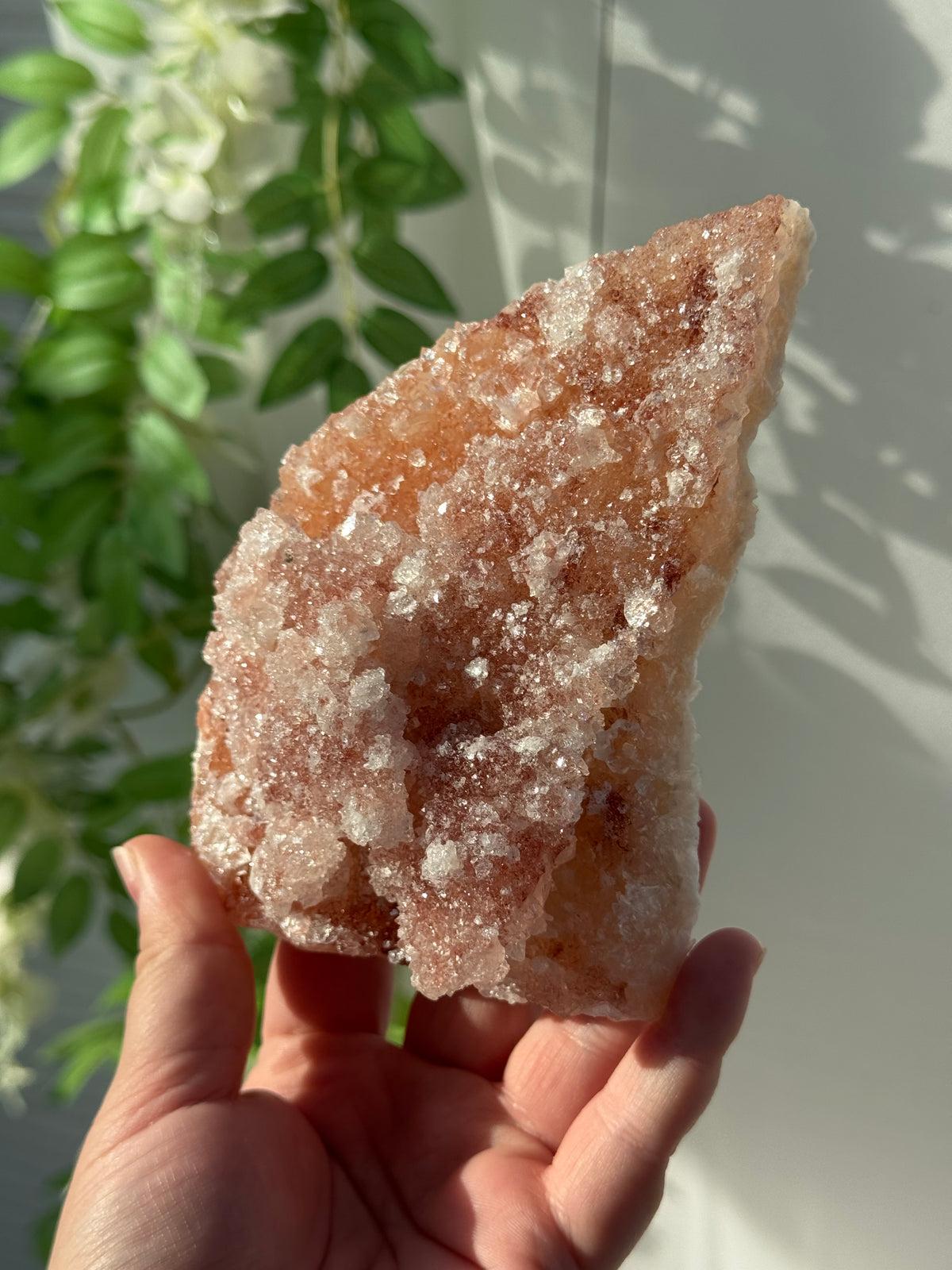 Peachy Pink Apophyllite Specimens from India