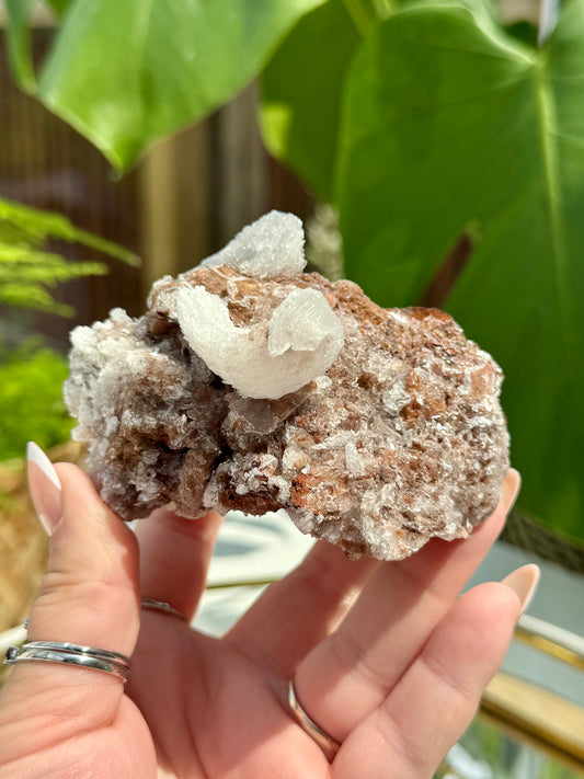 Rams Horn Selenite from Mexico