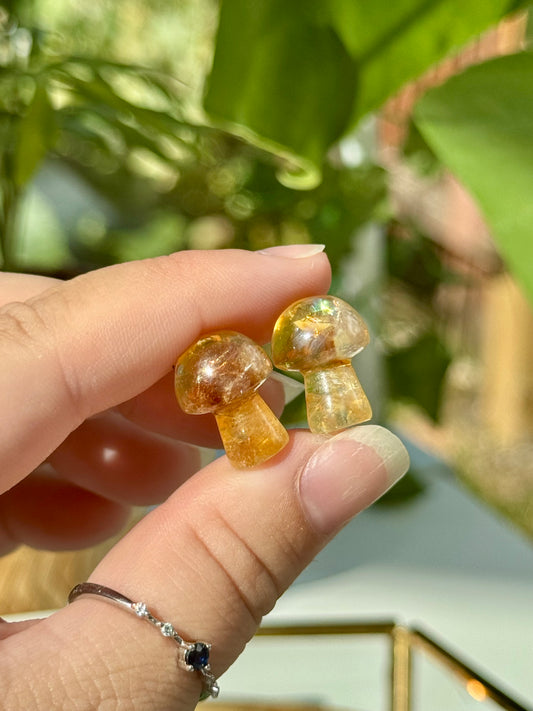 Citrine Mini Mushrooms