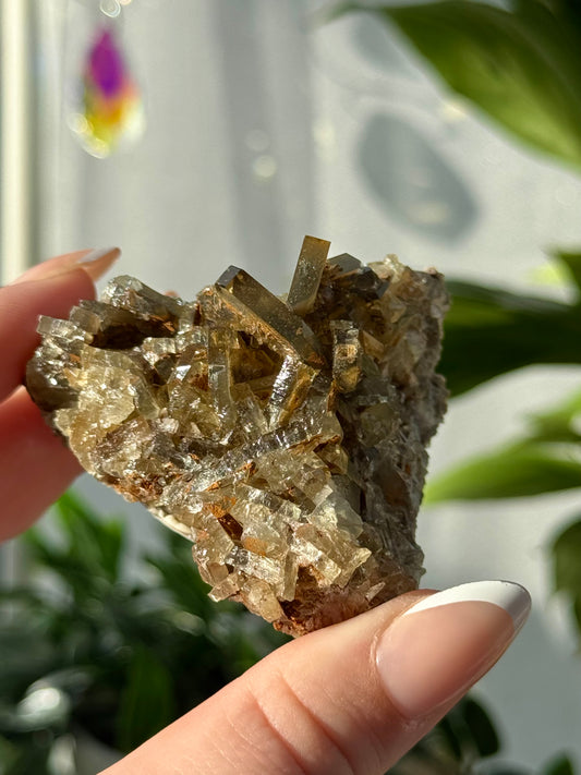 Golden Barite Cluster