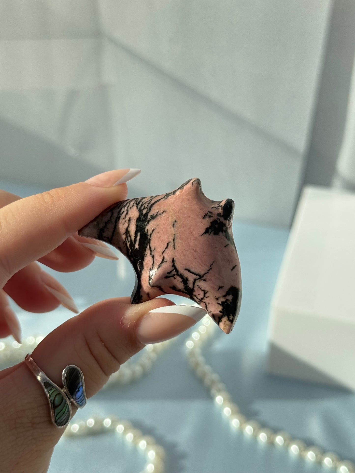 Mini Manta Rays
