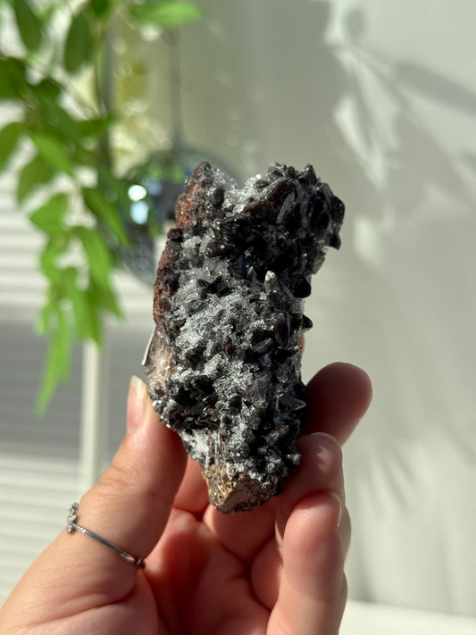 Dogtooth Calcite with Selenite