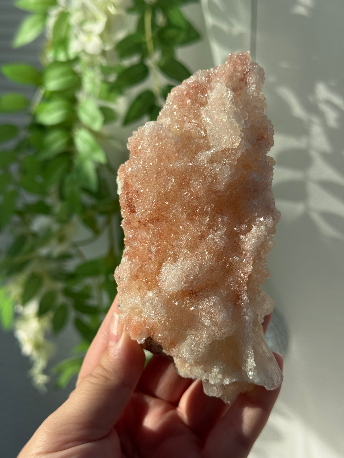Peachy Pink Apophyllite Specimens from India