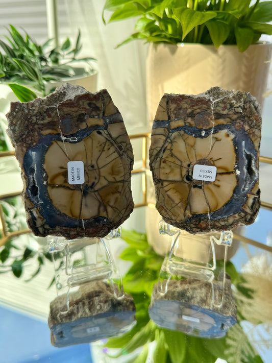 Cold Mountain Thunder Eggs