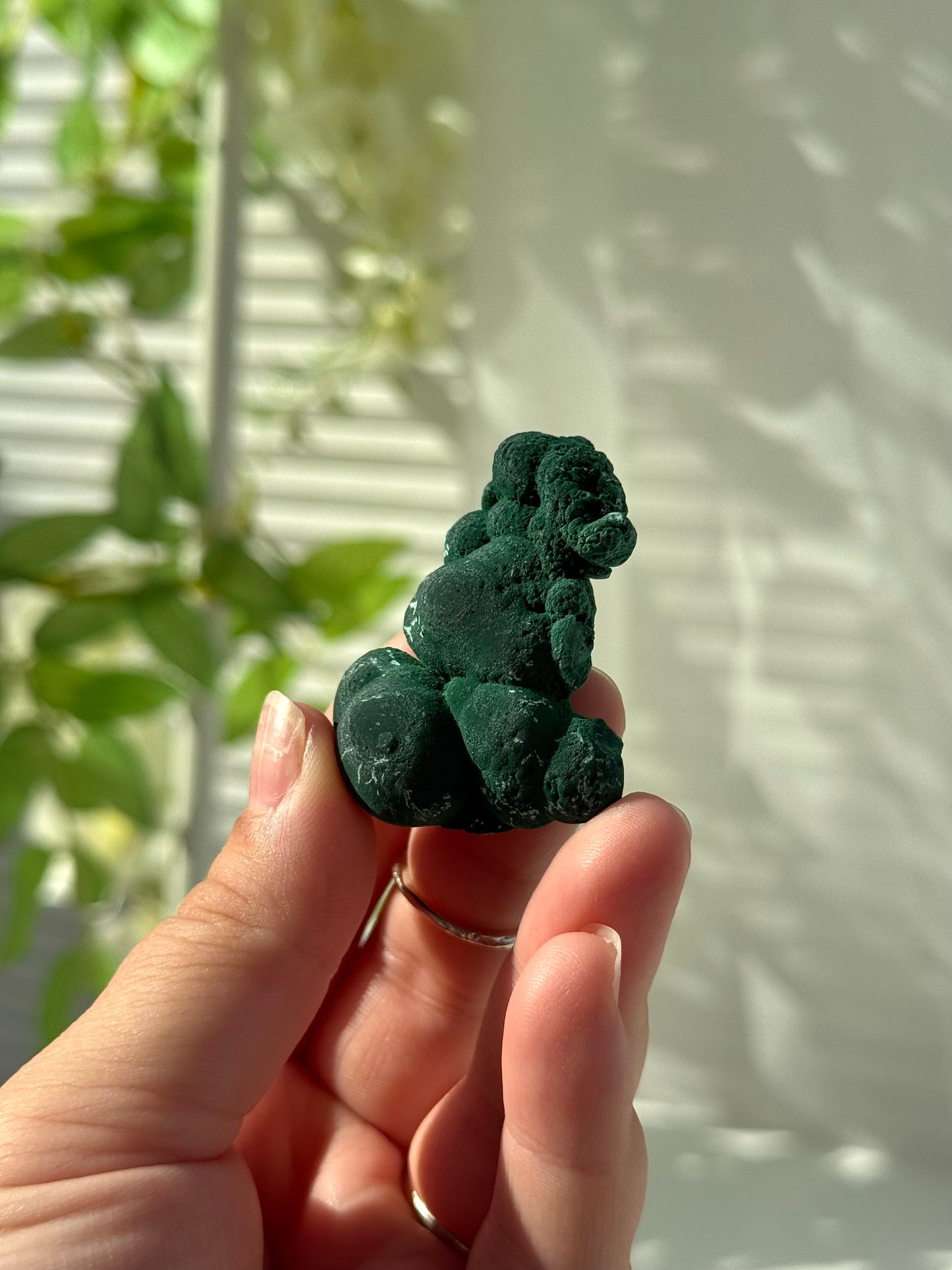 Velvet Malachite