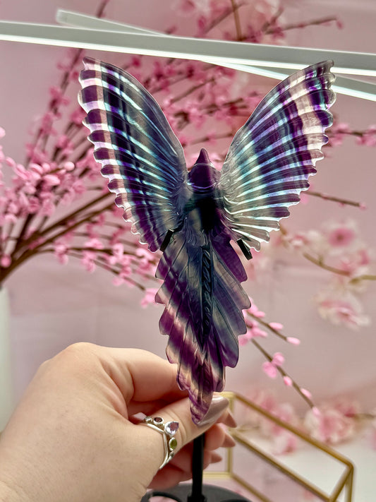 Rainbow Fluorite Bird