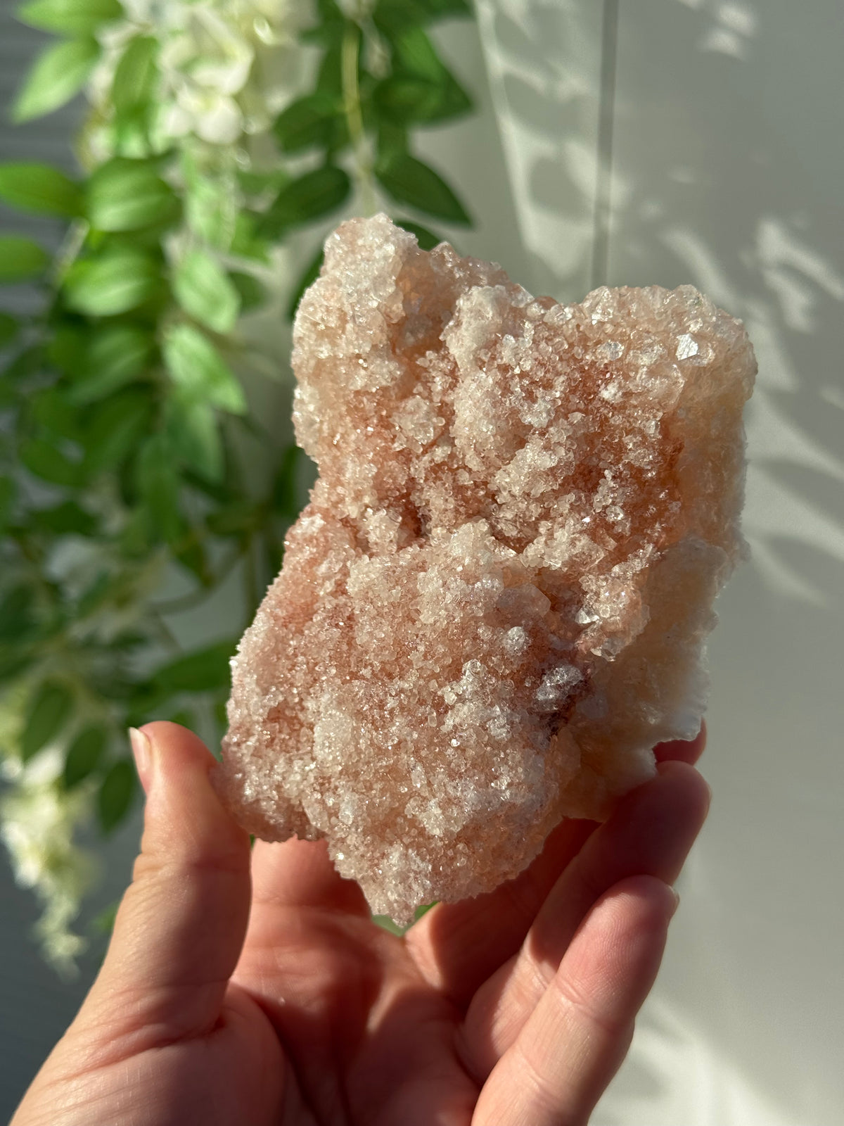 Peachy Pink Apophyllite Specimens from India