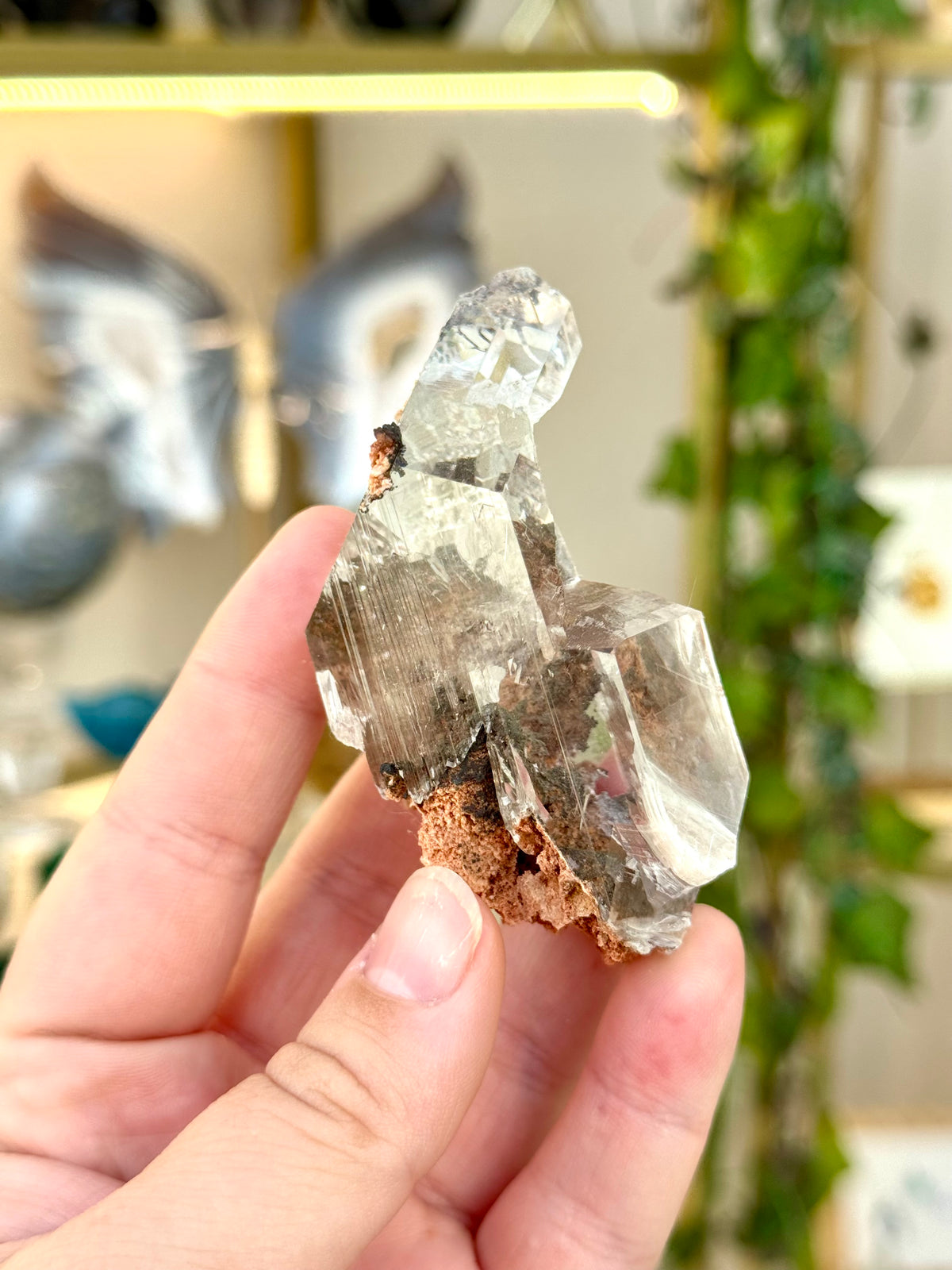 Selenite from Durango, Mexico