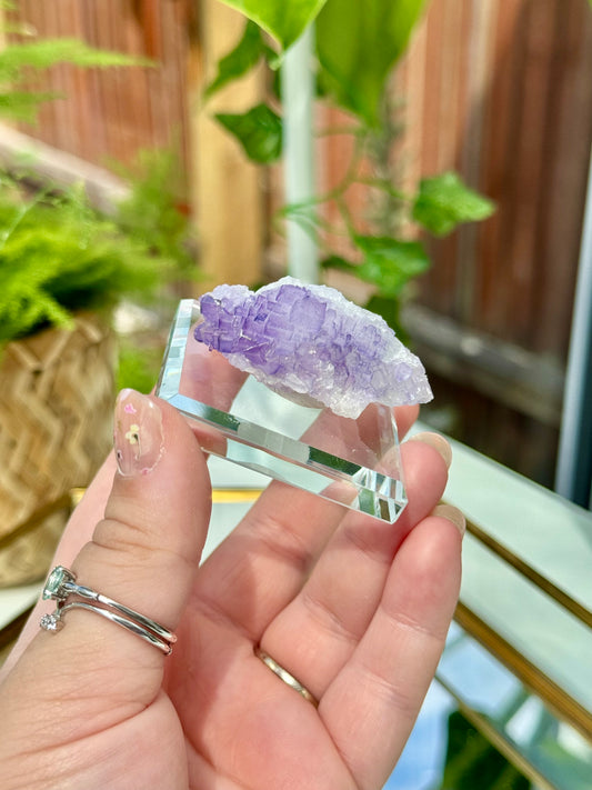 Muzquiz Fluorite from Mexico