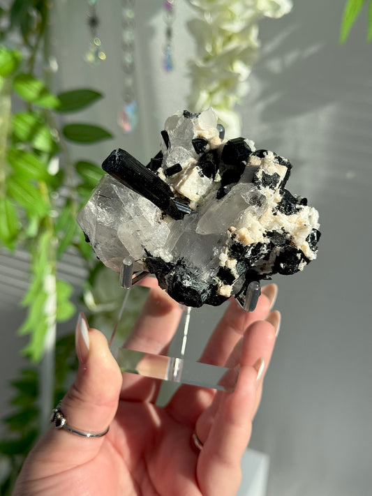 Black Tourmaline in Quartz