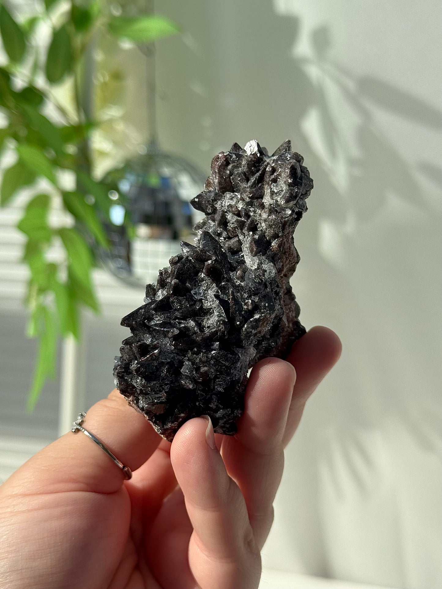 Dogtooth Calcite with Selenite