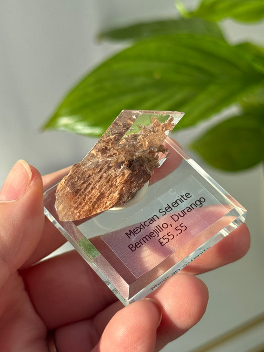 Bermejillo Selenite from Durango, Mexico