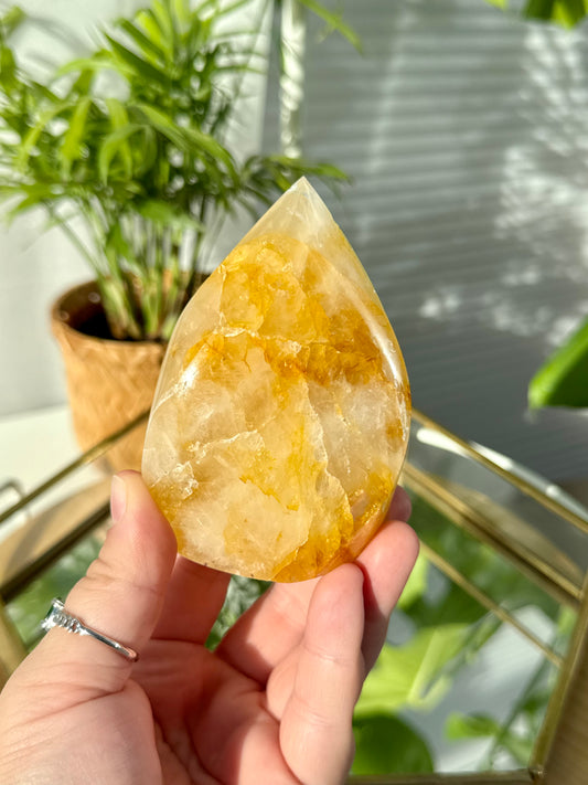 Golden Healer Flames from Brazil