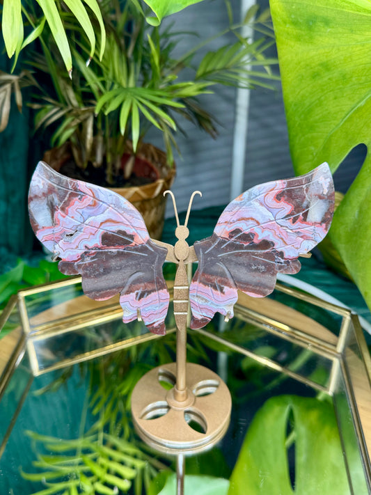 Pink Mexican Crazy Lace Wings