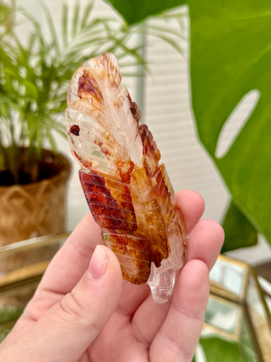 Golden Healer x Fire Quartz Feather