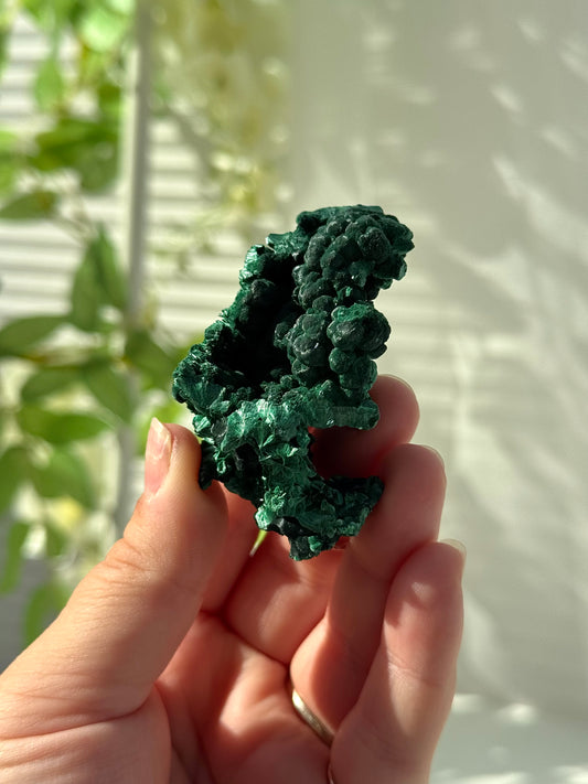 Velvet Malachite
