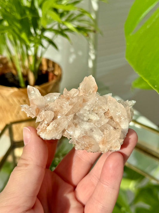 Pink Feather Calcite