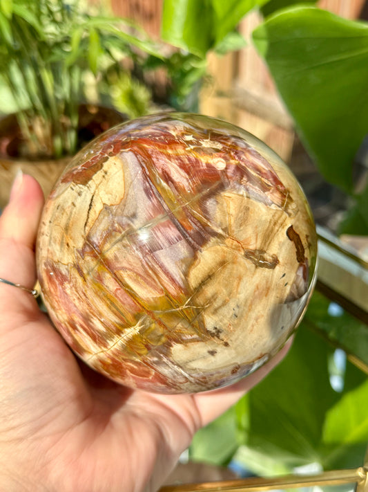 Statement Petrified Wood Sphere