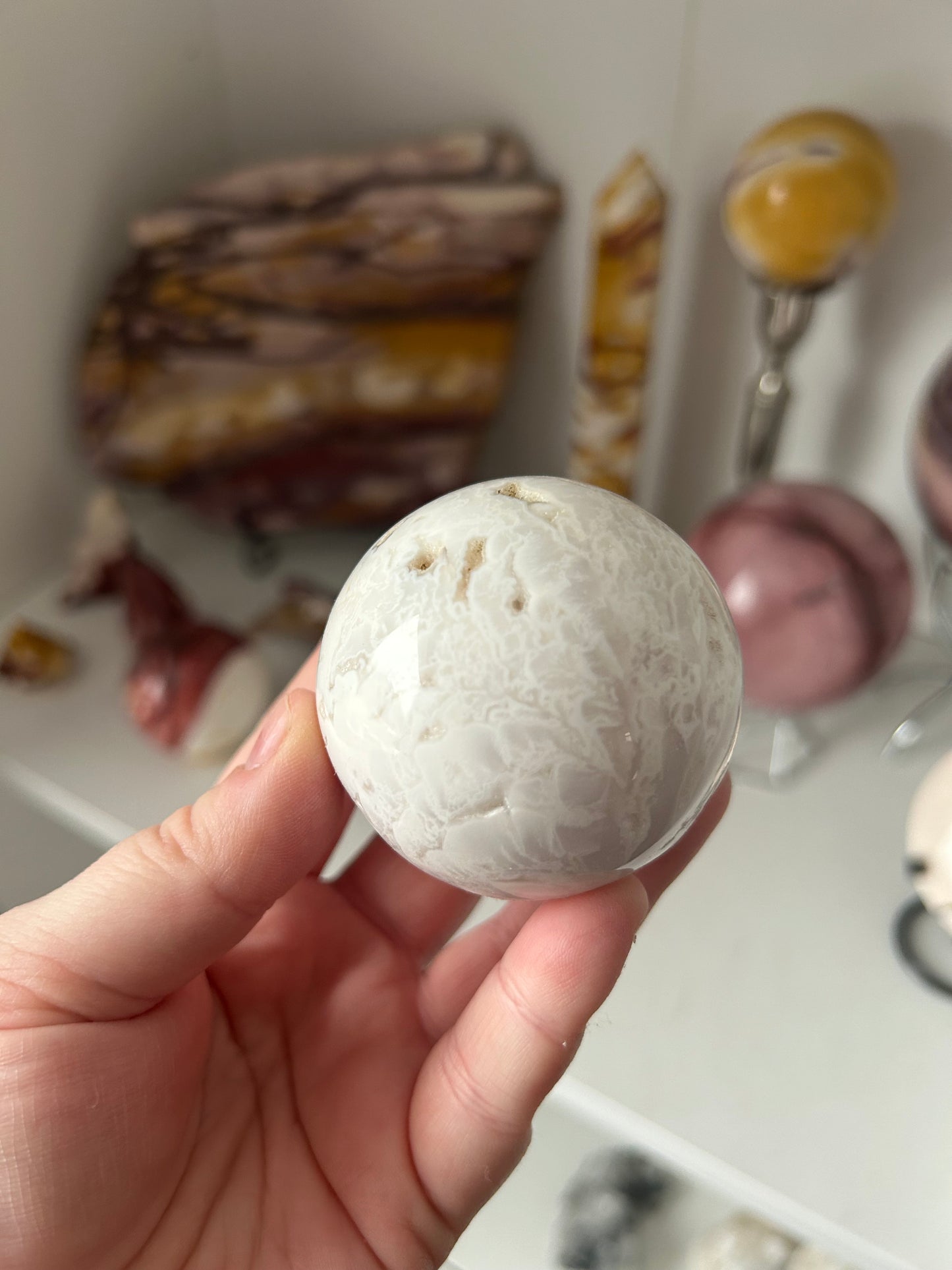 My collection clearance