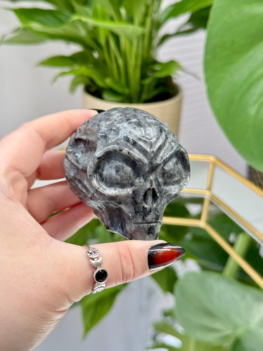 Larvikite Alien Head