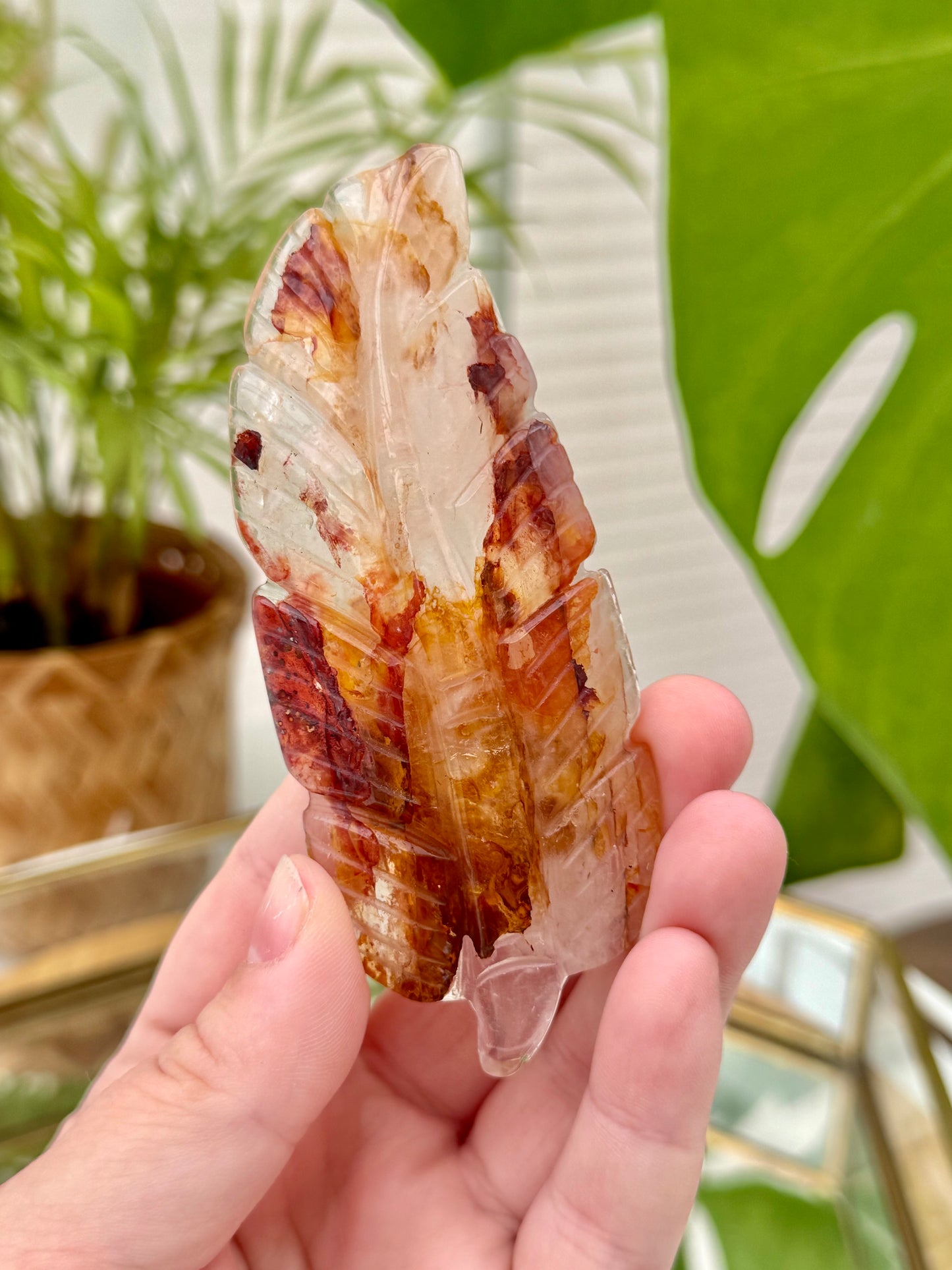 Golden Healer x Fire Quartz Feather