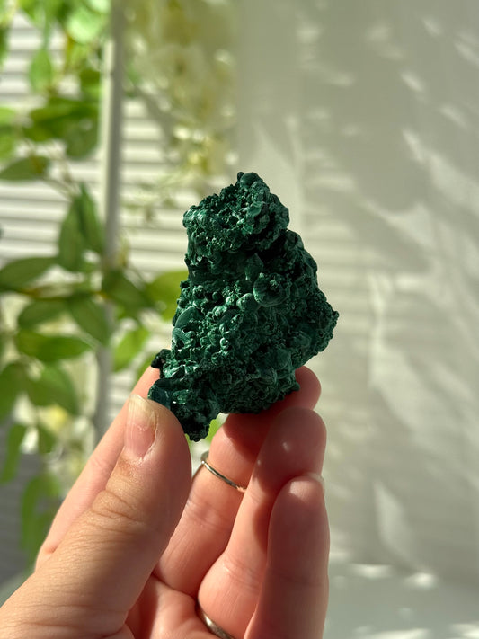 Velvet Malachite