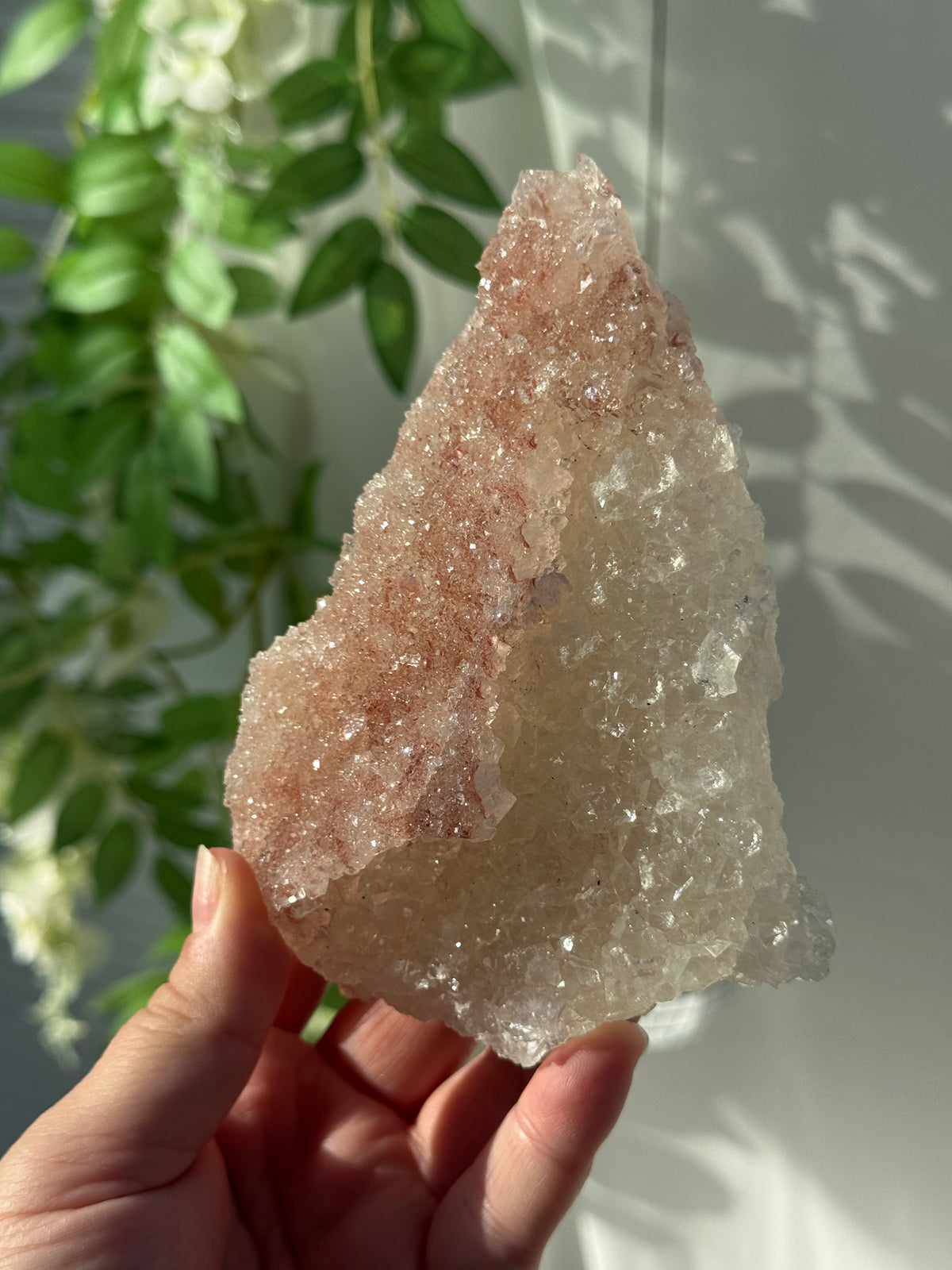 Peachy Pink Apophyllite Specimens from India