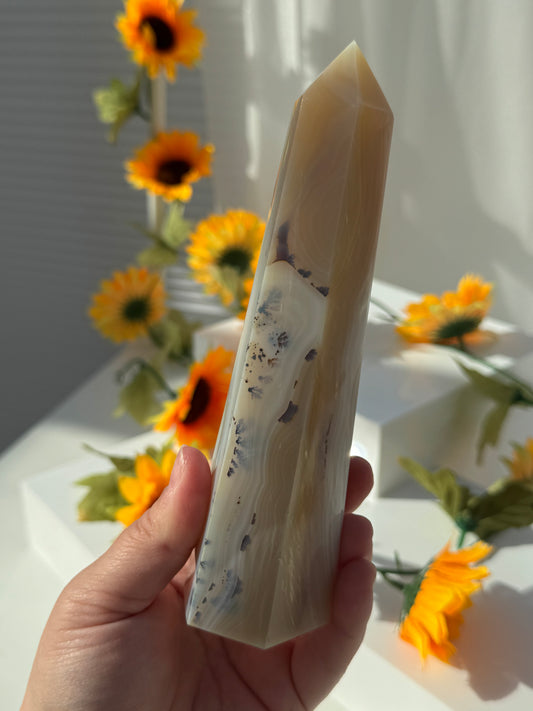 Banded Agate with Dendritic Tower