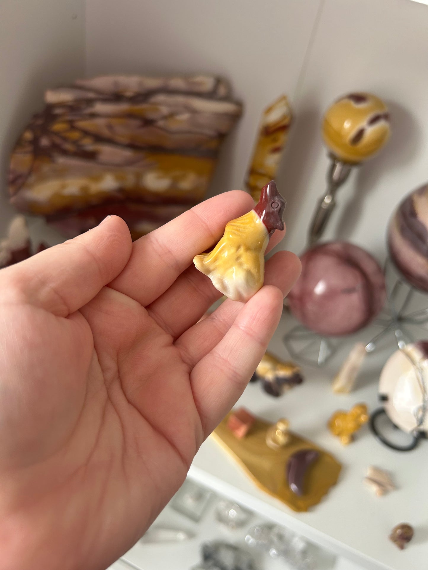 My collection clearance