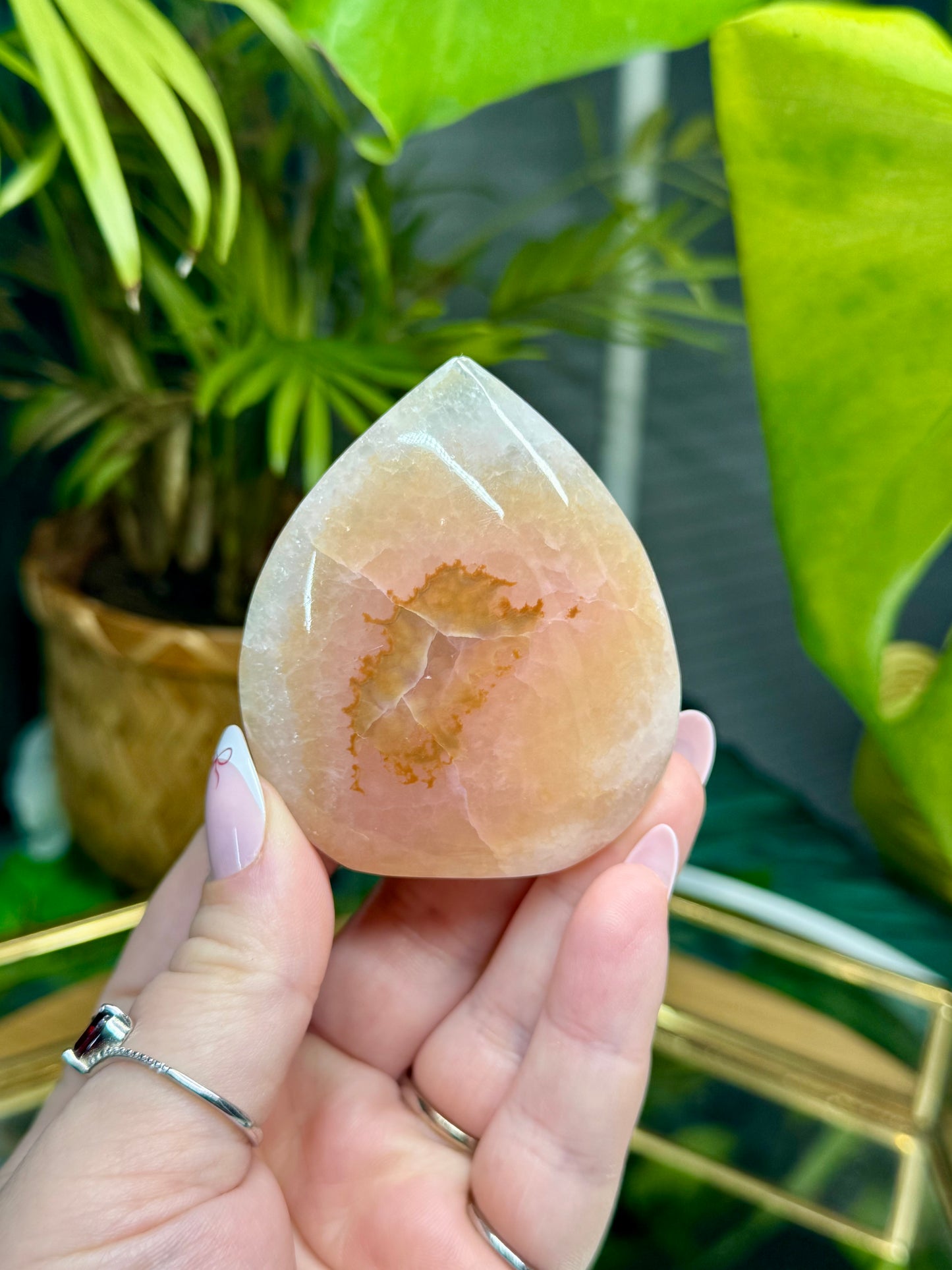 Pink Aragonite Freeform’s