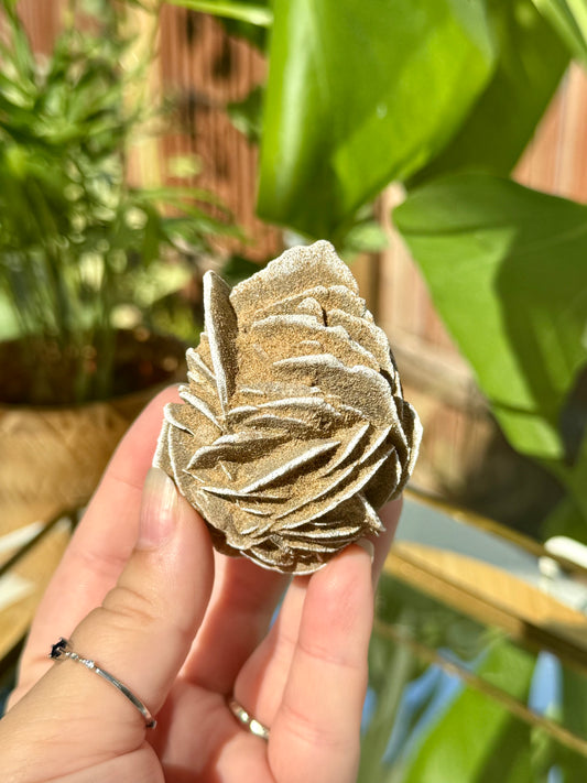 Desert Roses
