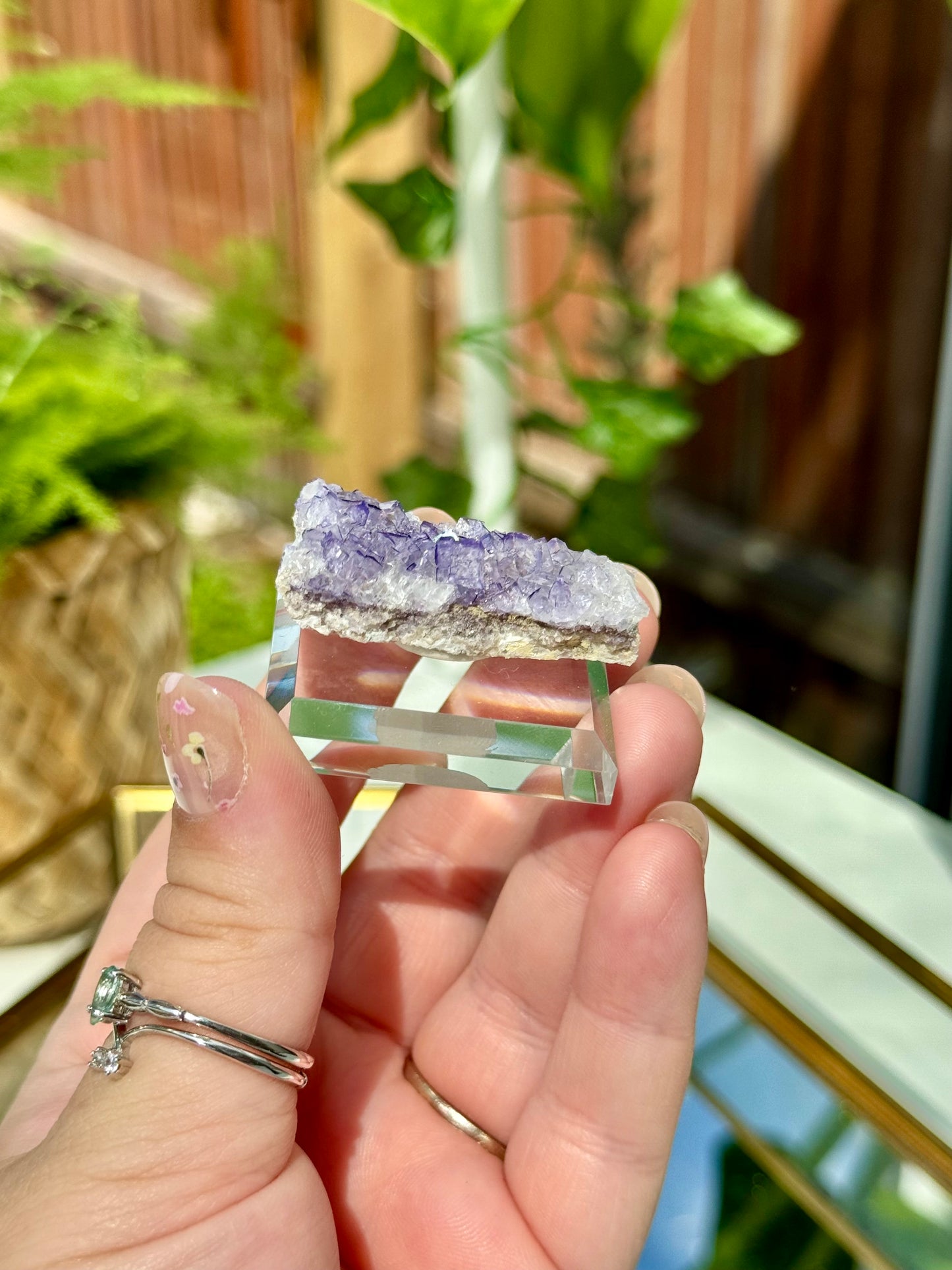 Muzquiz Fluorite from Mexico
