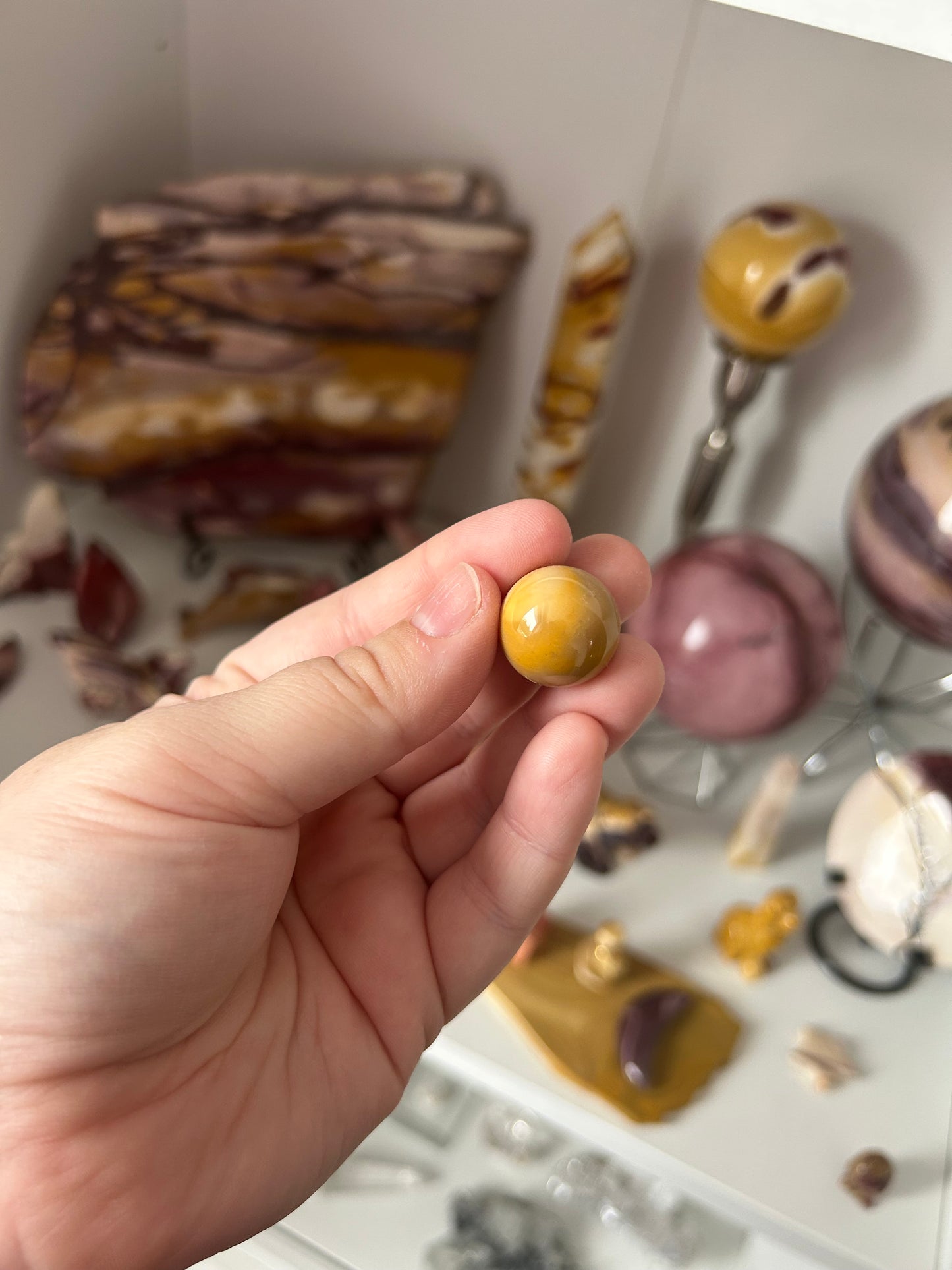 My collection clearance