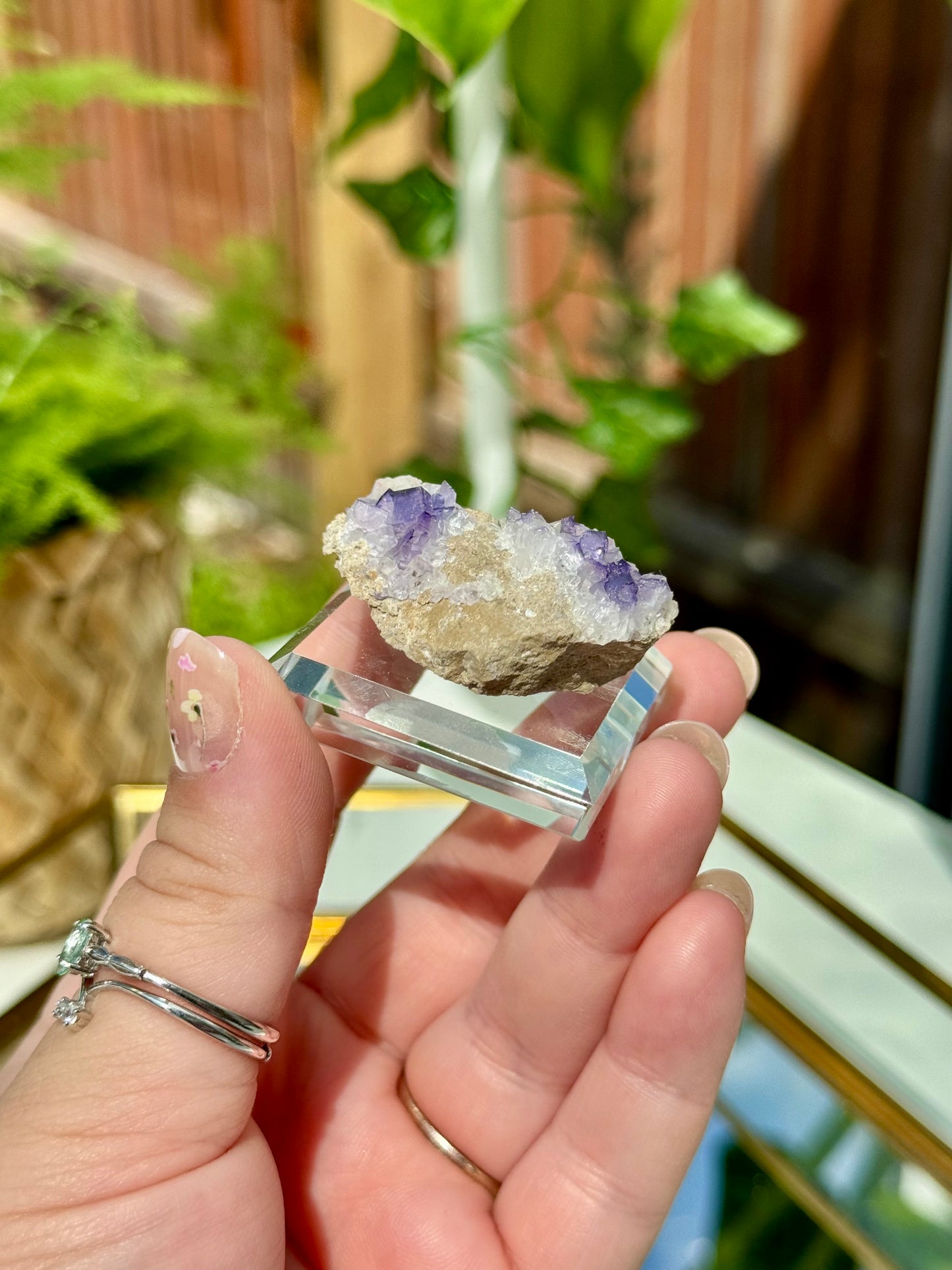 Muzquiz Fluorite from Mexico