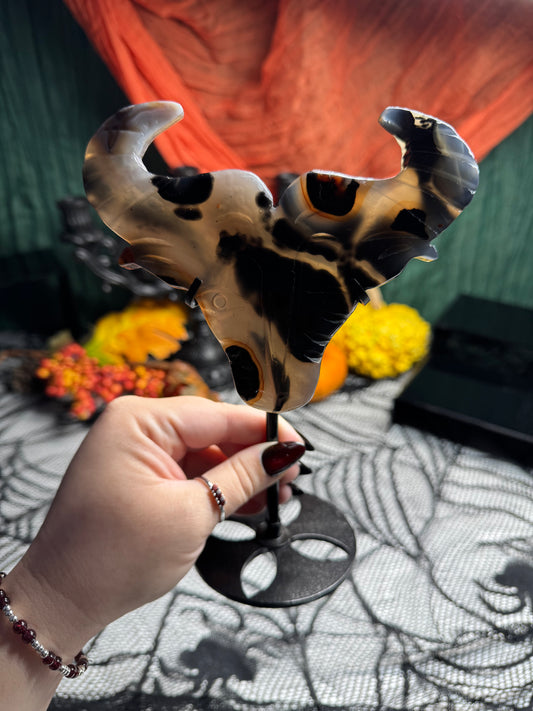 Agate Bull Head