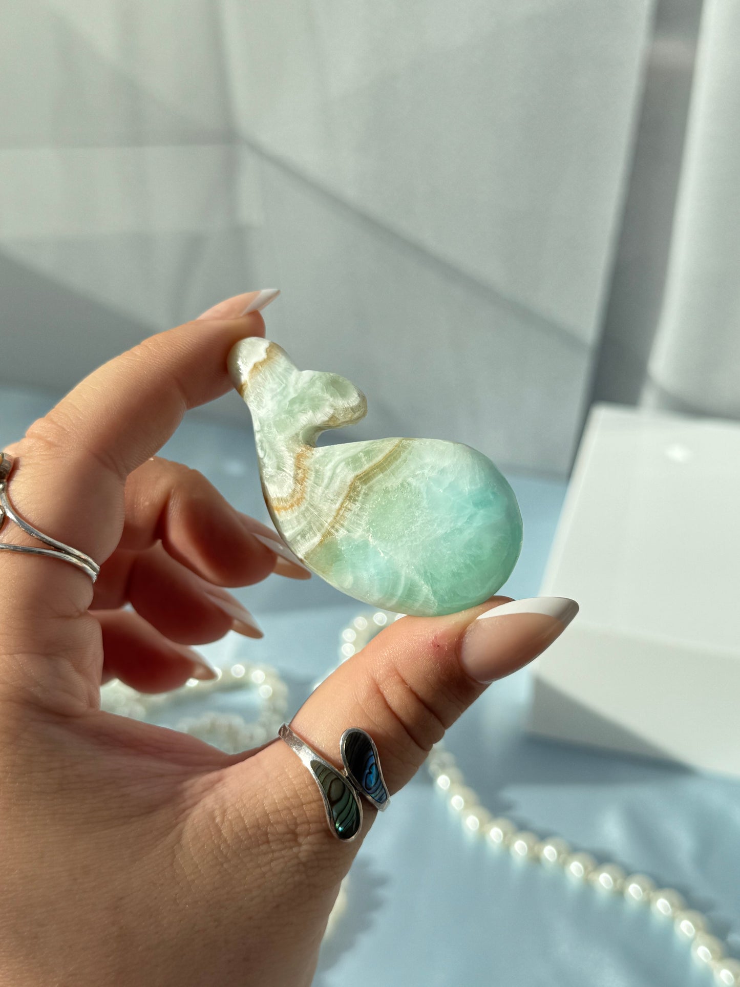 Caribbean Calcite Whales