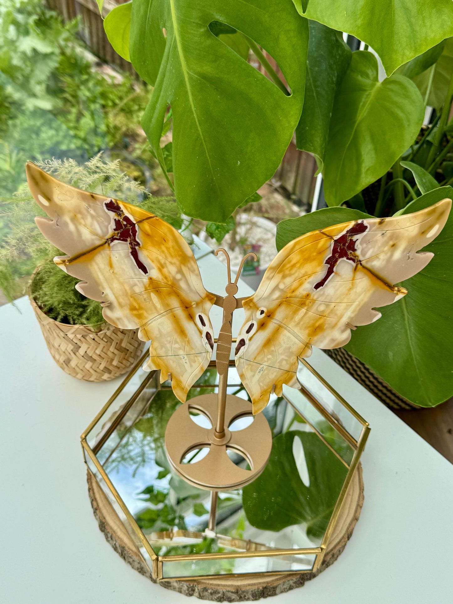 Statement Mookaite Wings