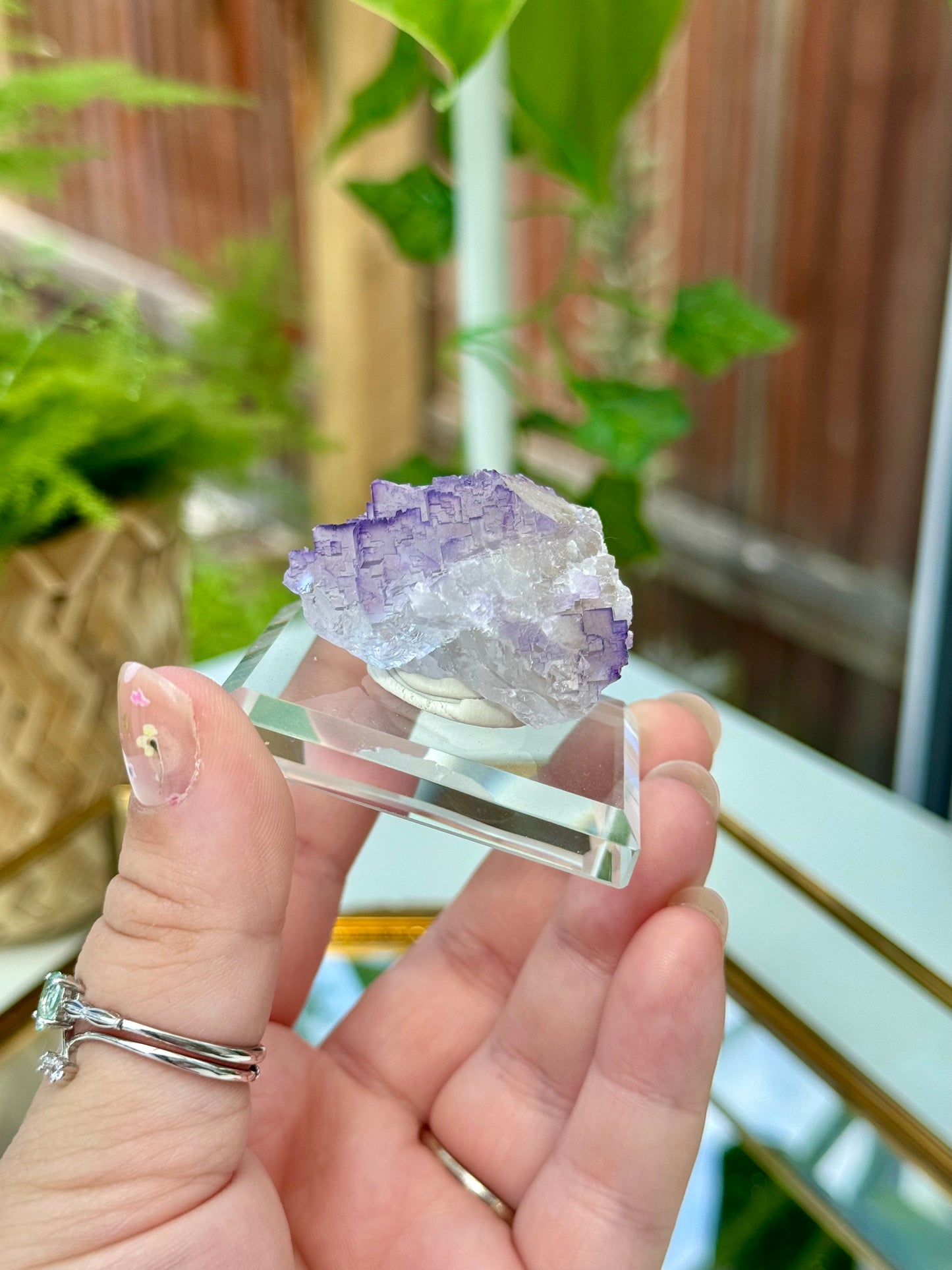 Muzquiz Fluorite from Mexico
