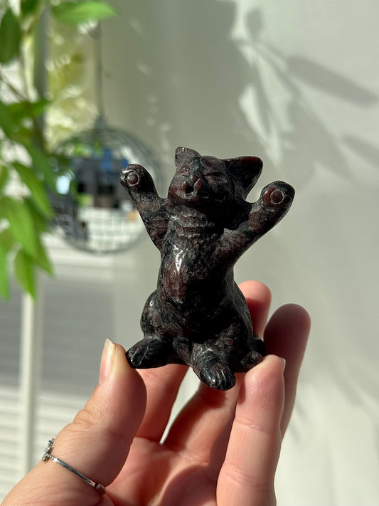 Garnet Arfvedsonite Happy Cat