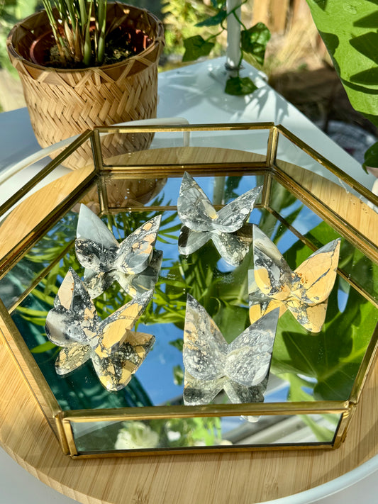 Maligano Jasper 3D Butterflies