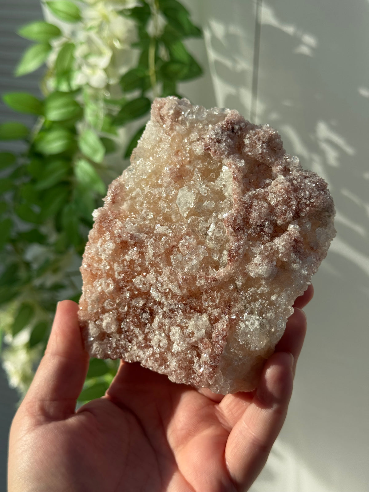Peachy Pink Apophyllite Specimens from India