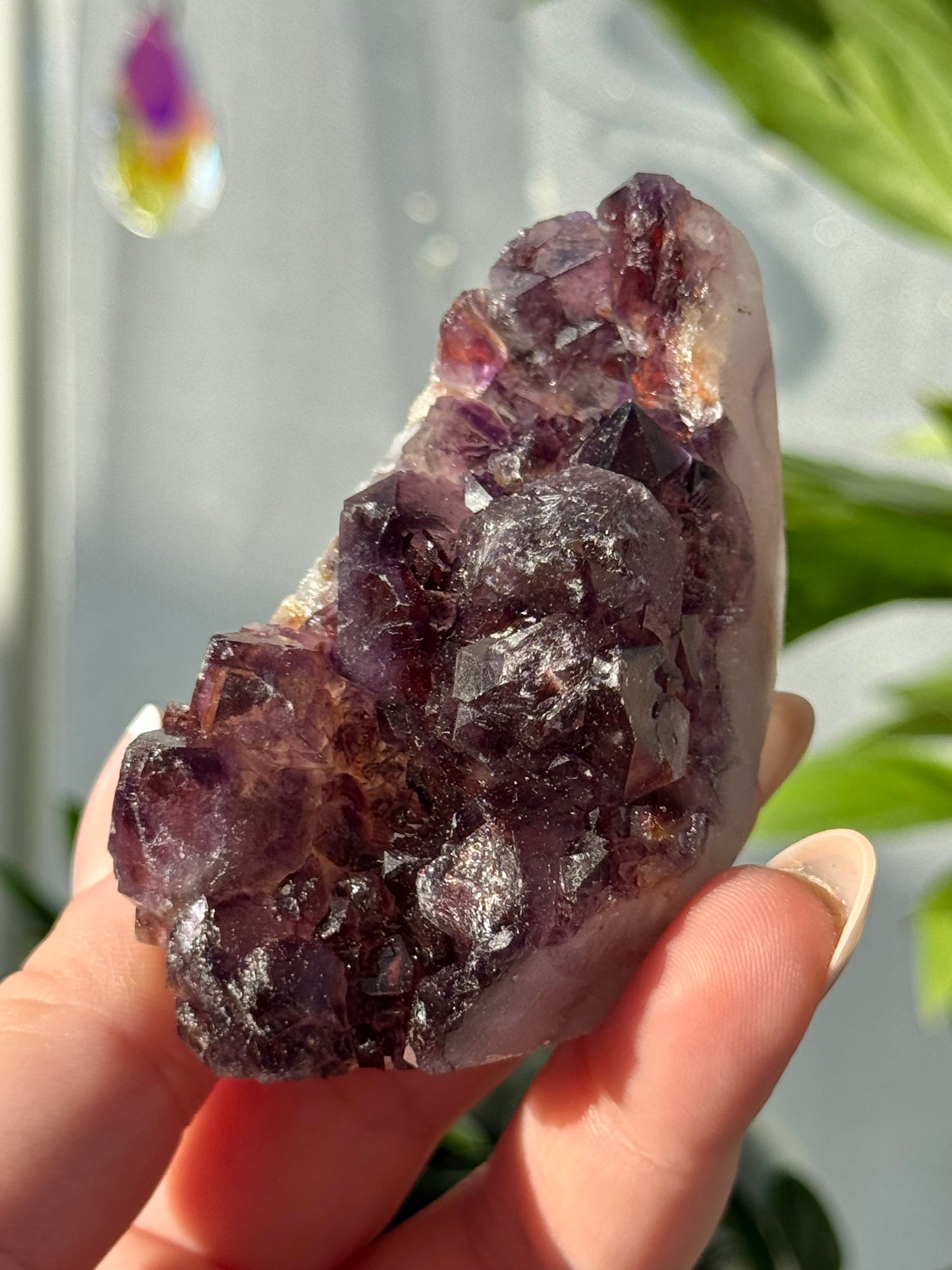 Alien Amethyst (Amethyst with Hematite) from India