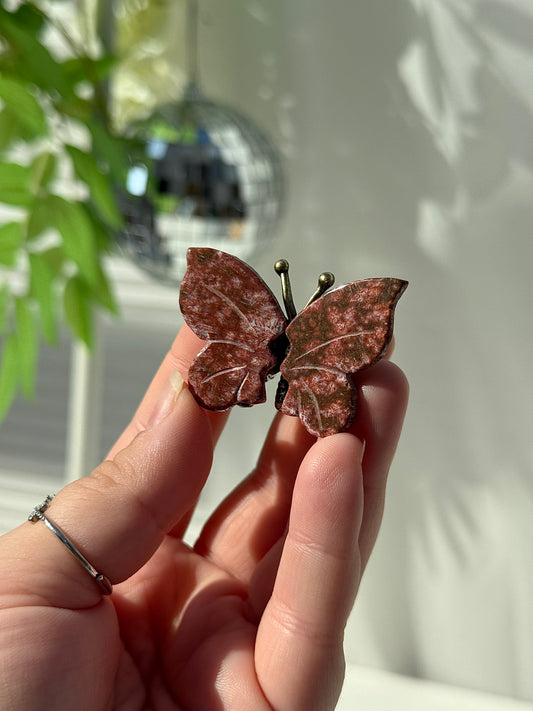Sea Jasper Butterfly