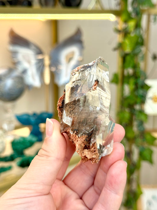 Selenite from Durango, Mexico