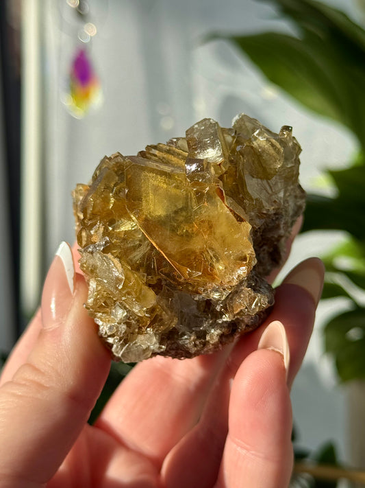 Golden Barite