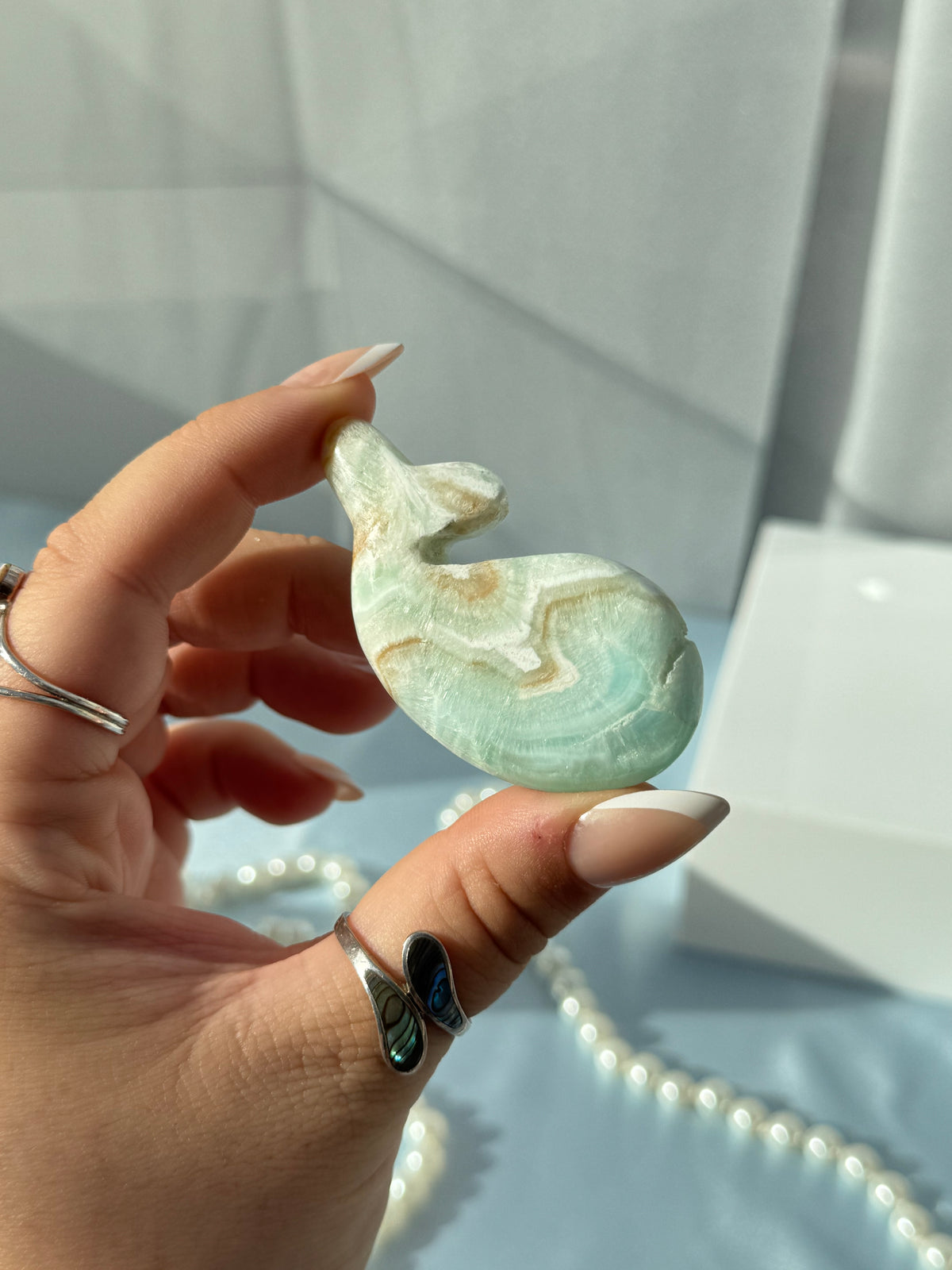 Caribbean Calcite Whales